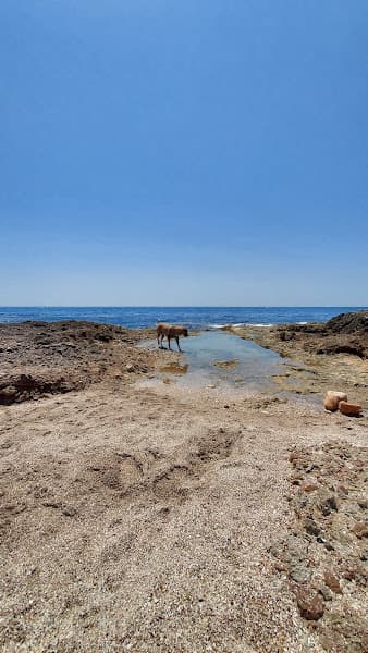 Cala de Ribamar