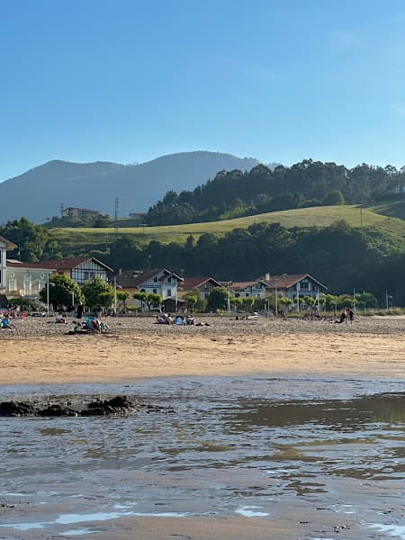 Lapari