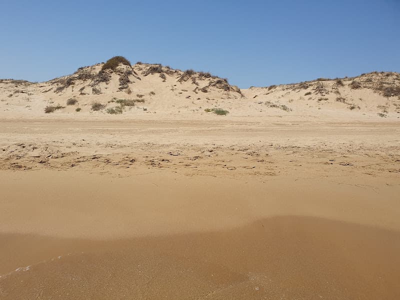 Playa Marina
