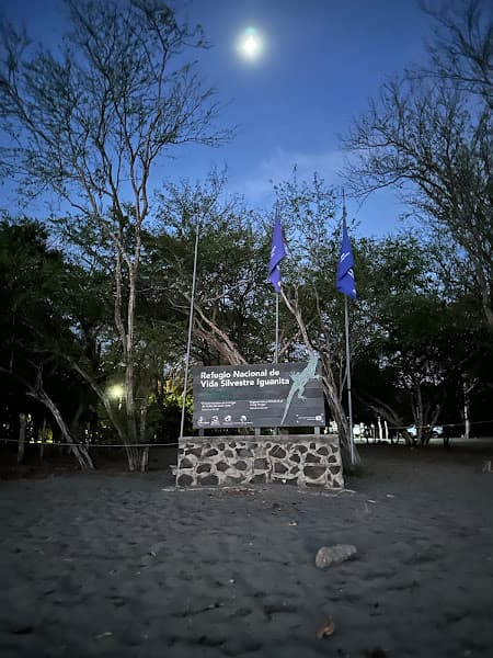 Playa Iguanita