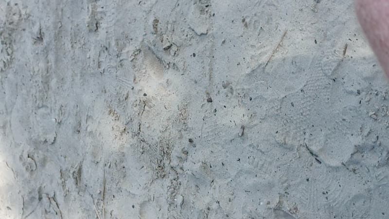 Naturstrand Bleibtreusee