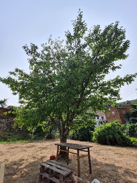 Poço do Caldeiro
