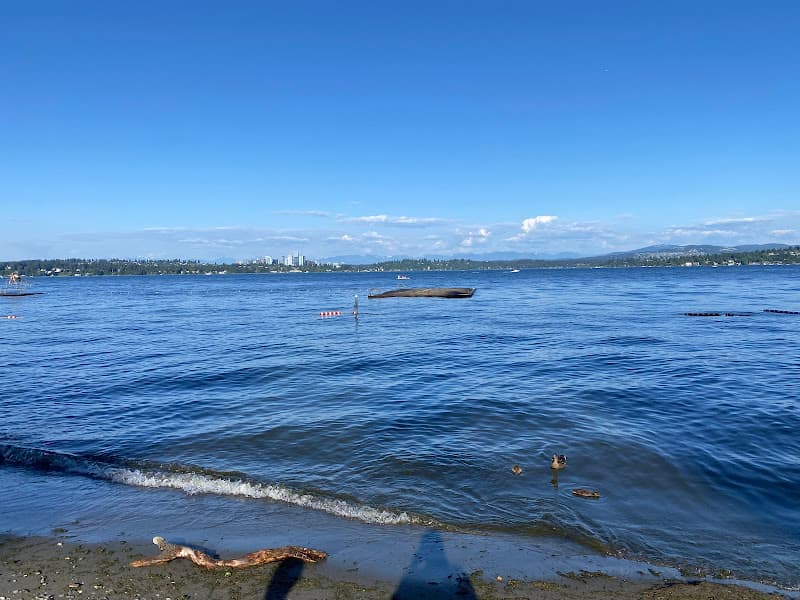 Madrona Beach