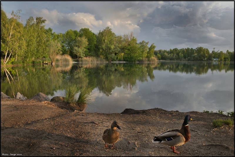 Plage de la Ballastière de Bishheim-Schiltigheim