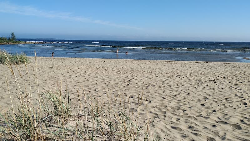 Plage FI