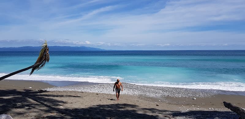 Playa Matapalo