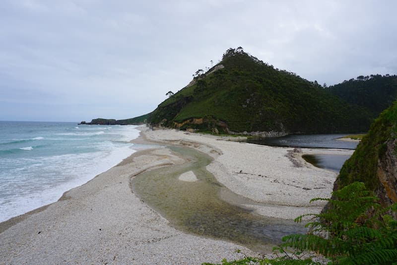 Playa de San Antolín de Bedón