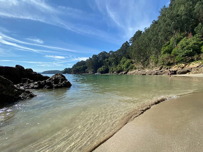 Praia dos Lobos