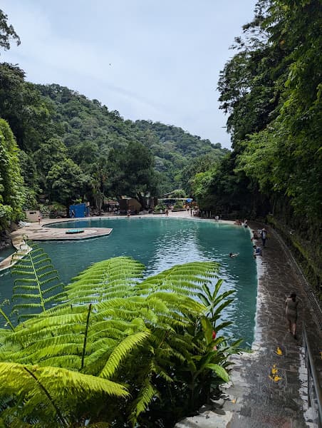Chorros de Palmilla