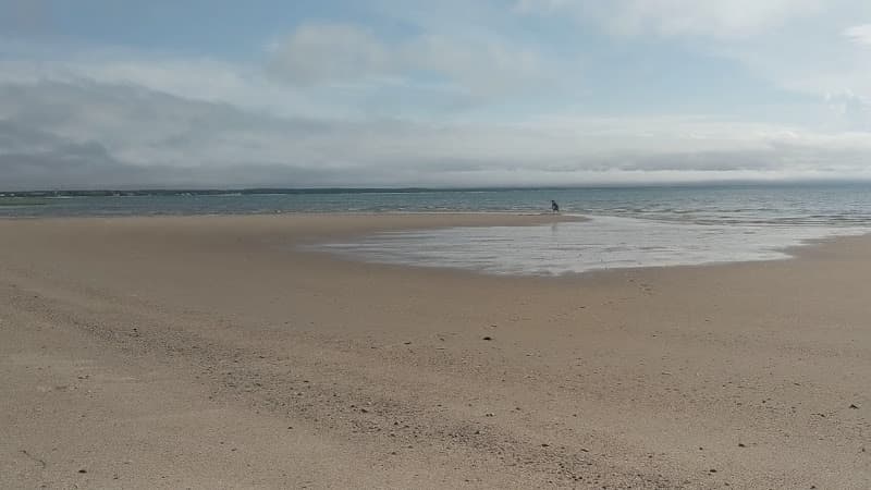 Herring Brook Beach