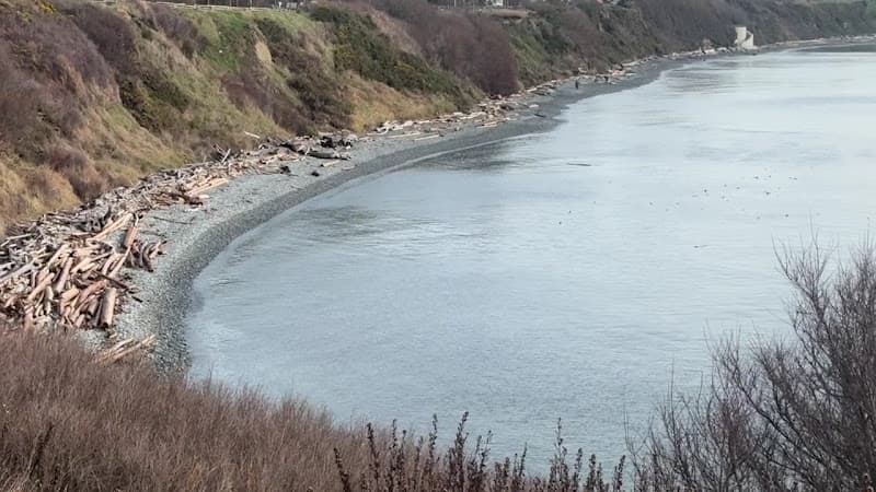 Finlayson Point Beach