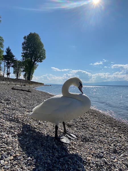 Plage de Beauregard