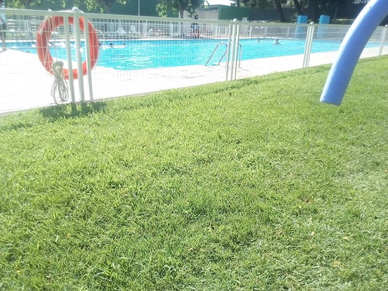 Piscina Municipal