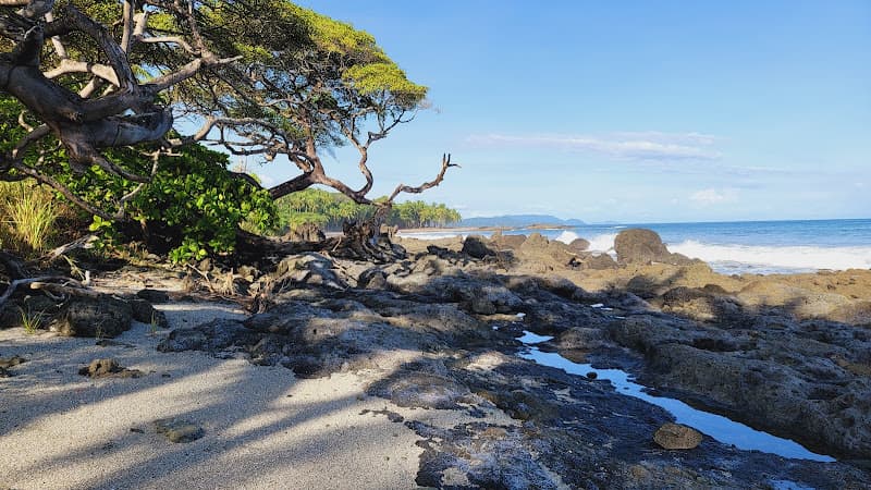 Playa Cedro