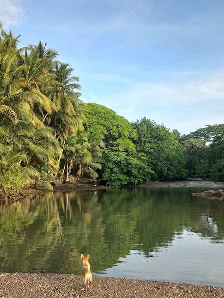 Playa Cabuya