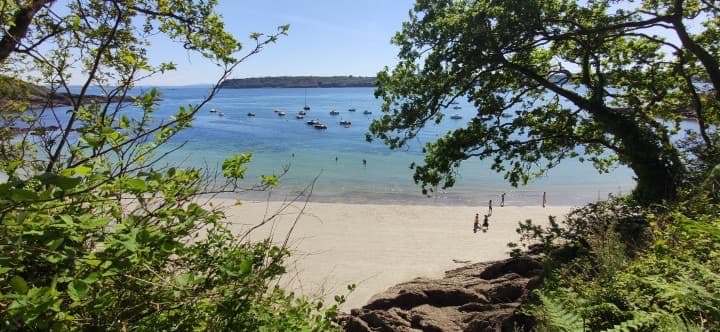 Plage de Dalbosc
