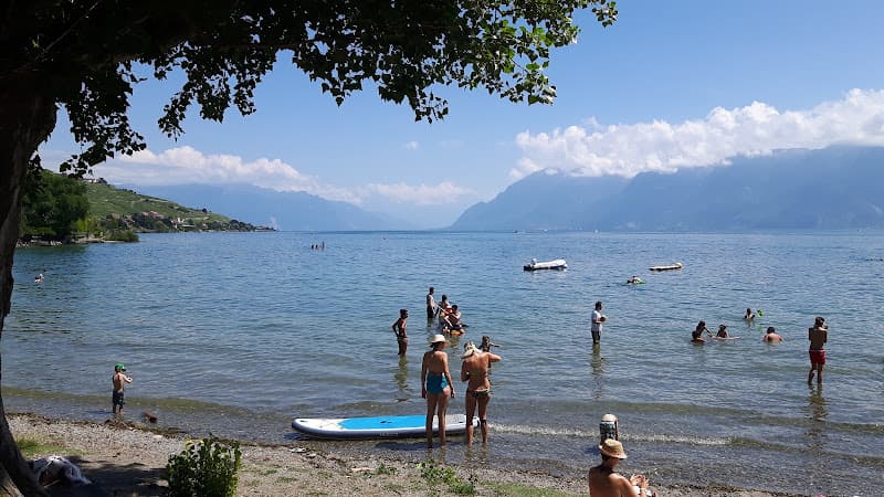 Plage du port du Vieux-Stand