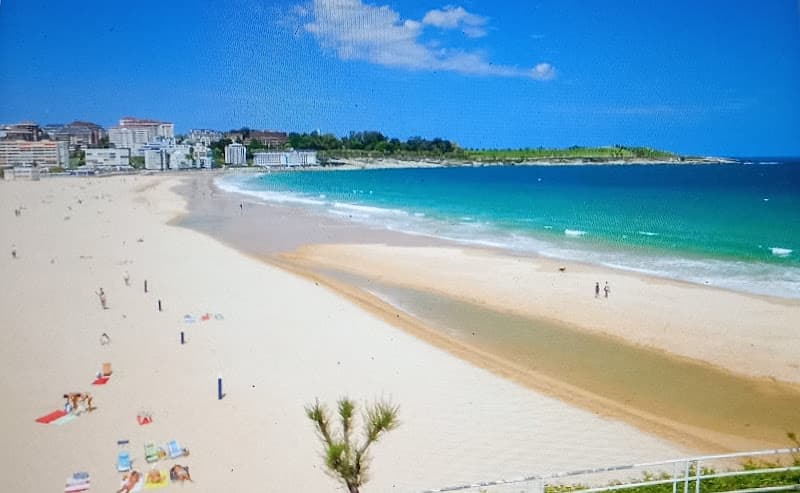 Playa de Bayas - Zona para perros