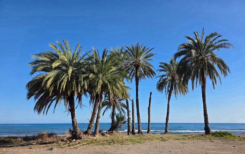 Playa Las Palmeras