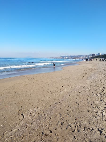 Photo of Corso Beach