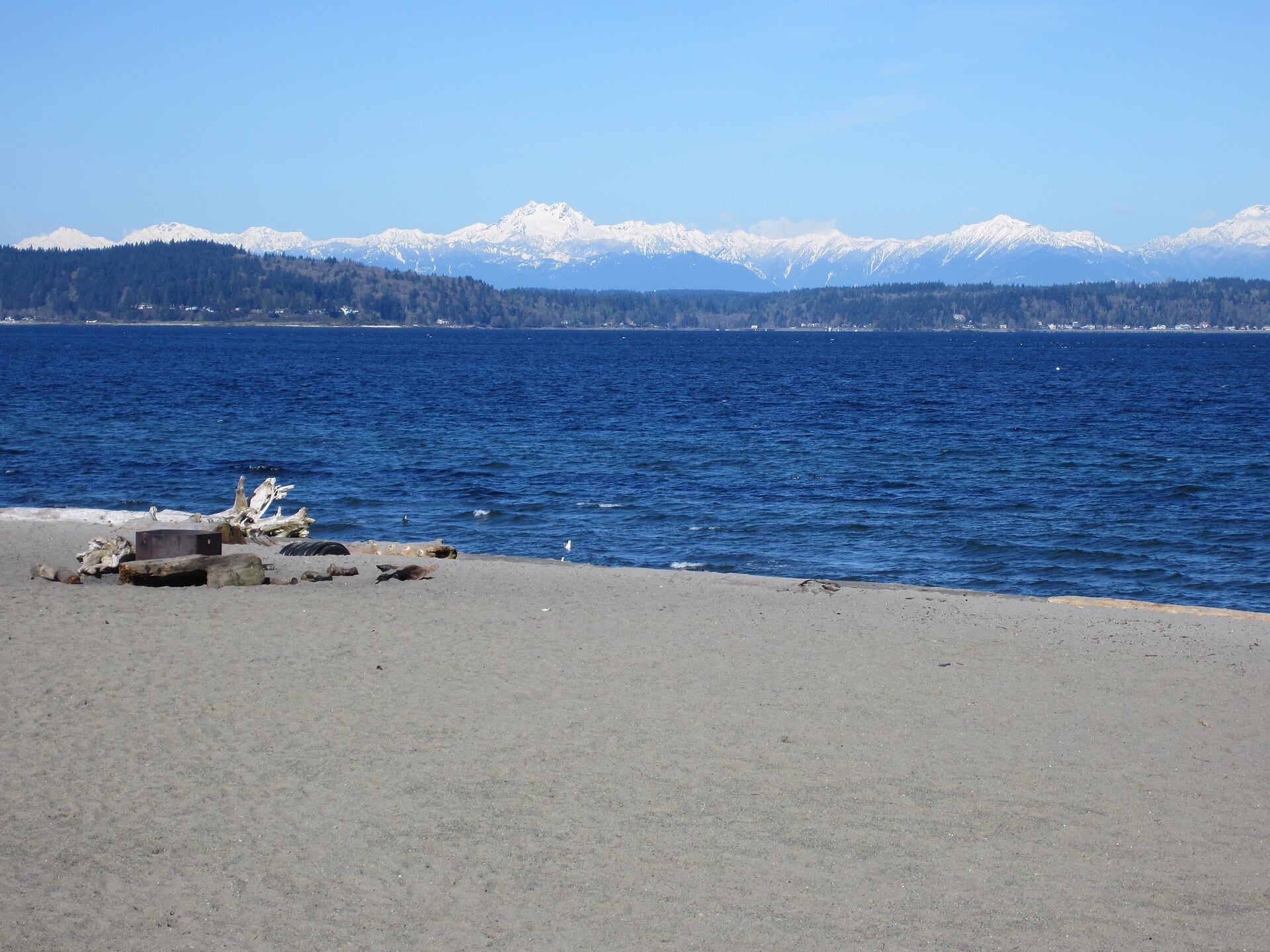 Lake swimming area near Seattle