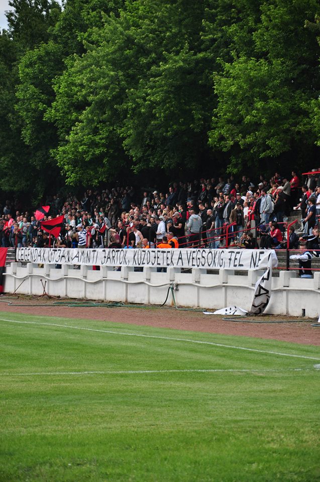 Large crowd of soccer supporters in a stadium stand